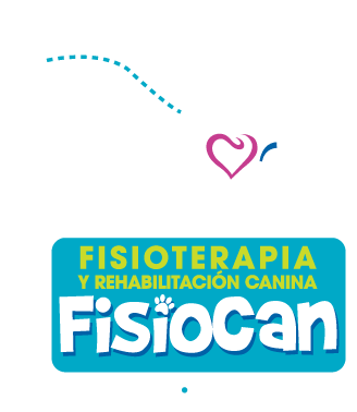 Fisioterapia - Equipos de fisioterapia para veterinaria y kinesiología -  EDEF